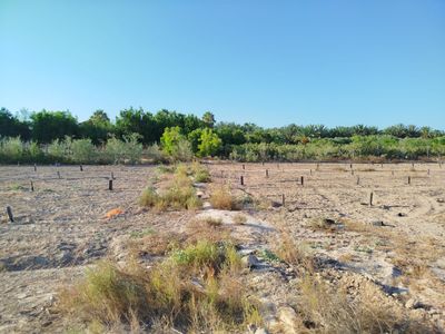 Parcela rústica en venta Elche/Elx, Alicante. Ref: 11157. Grupo Torresol