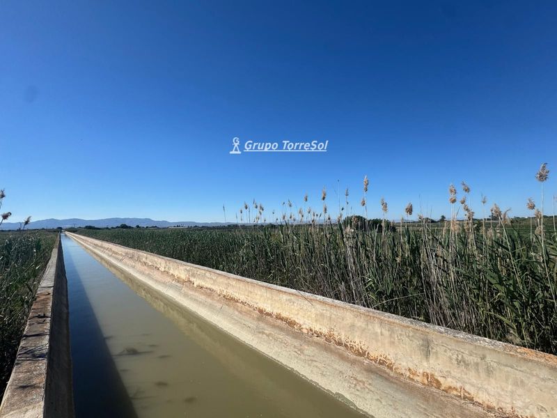 Rustic plot for sale Elche/Elx, Alicante. Ref: 11218. Grupo Torresol