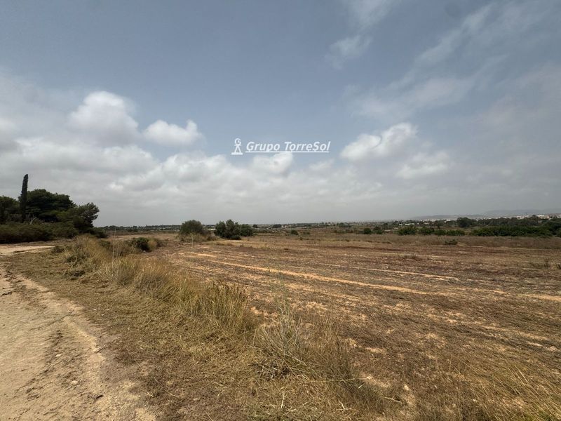 Rustic plot for sale Elche/Elx, Alicante. Ref: 11325. Grupo Torresol