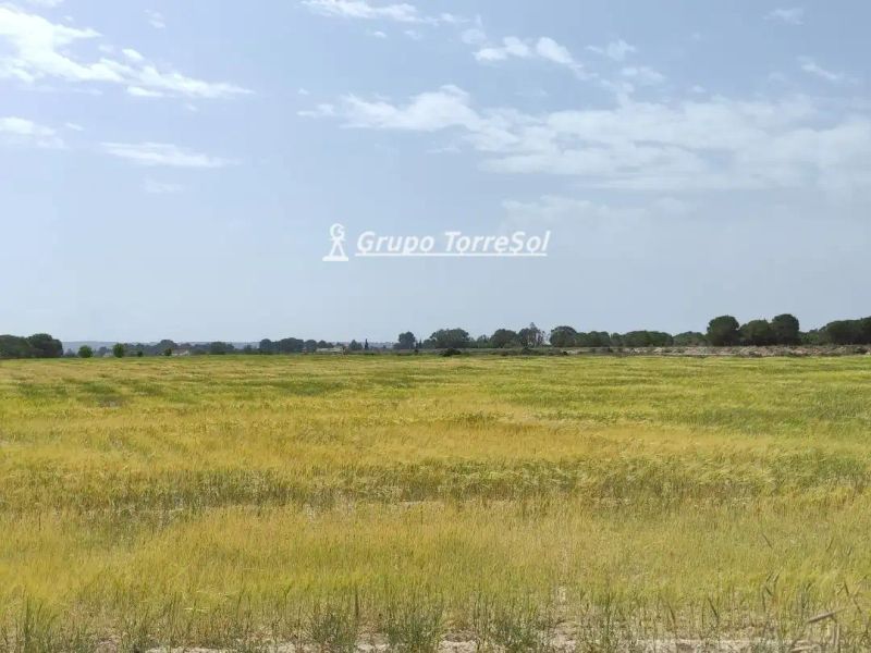 Rustic plot for sale Elche/Elx, Alicante. Ref: 11377. Grupo Torresol