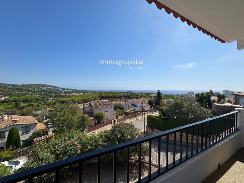 Herenhuis te koop Platja D