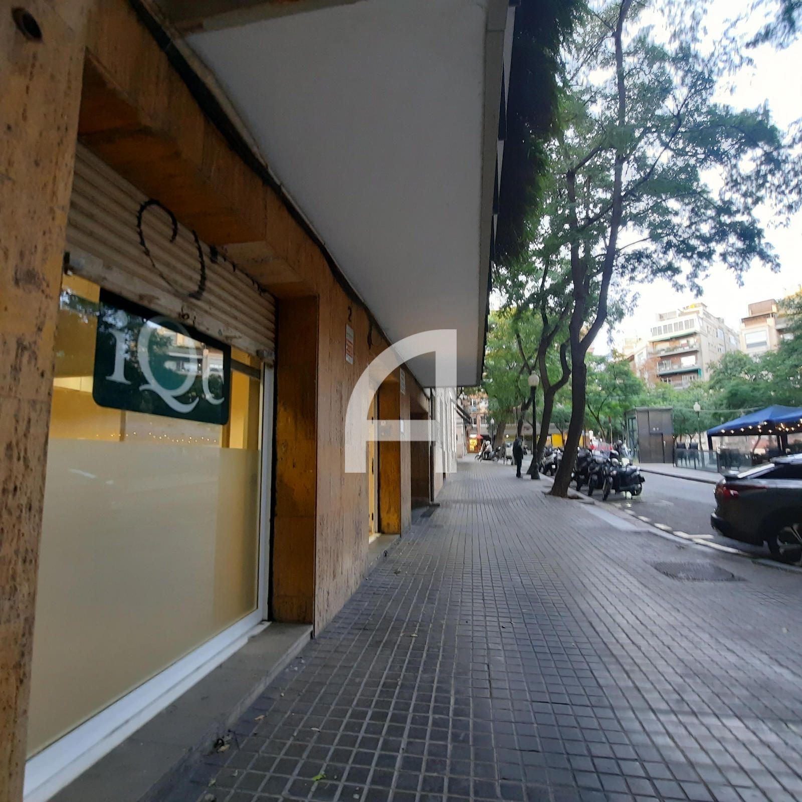 Local