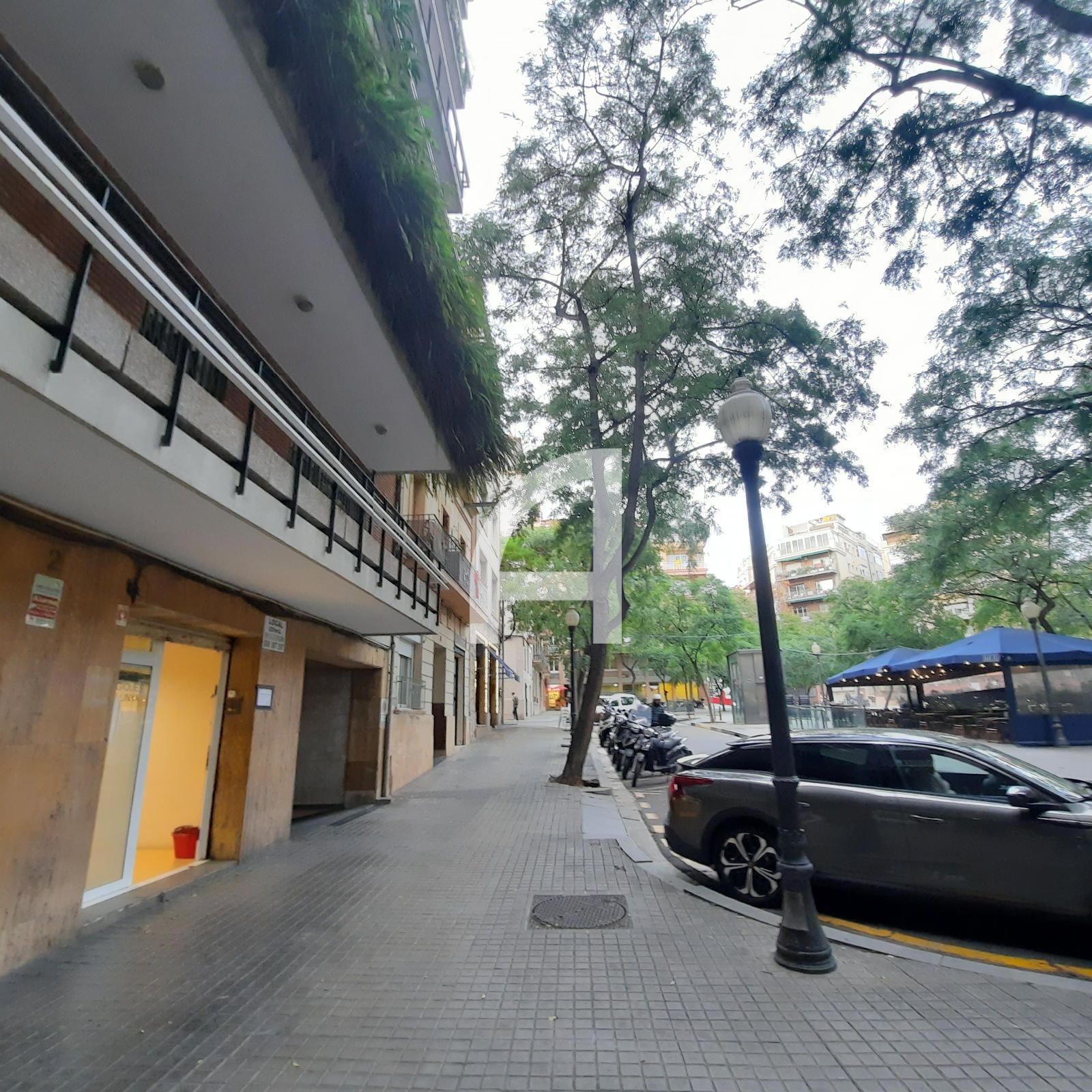 Local