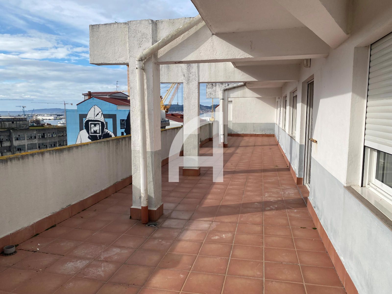 Terraza 