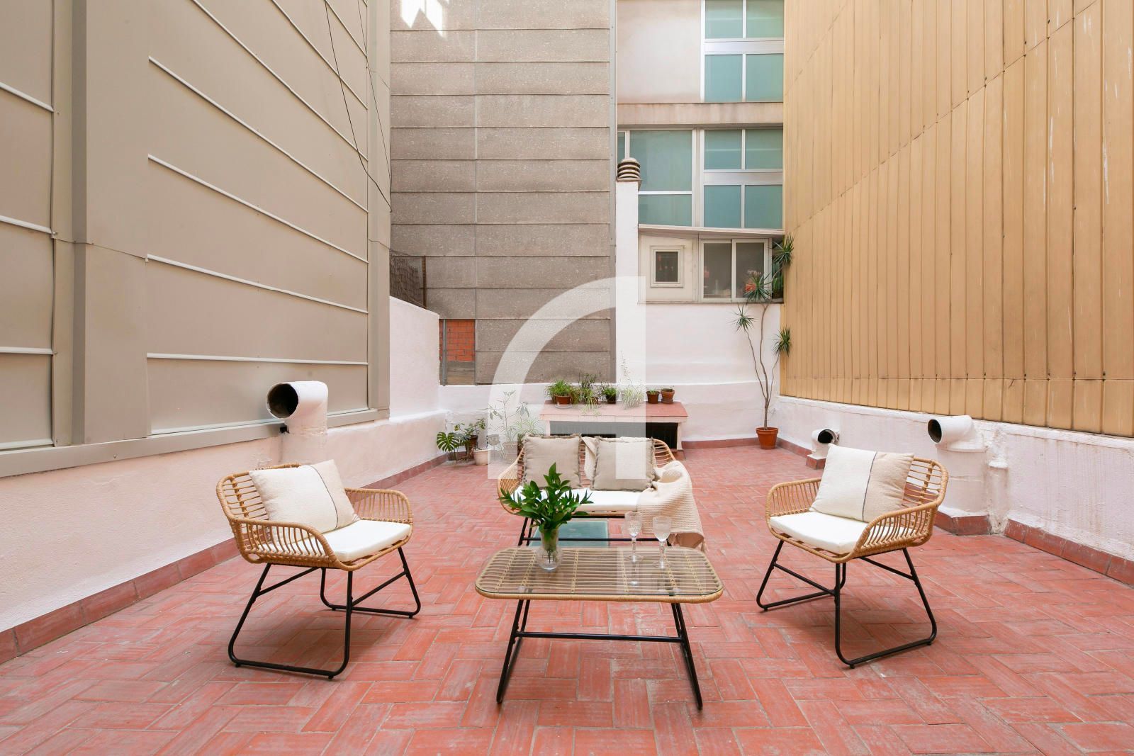 Terraza