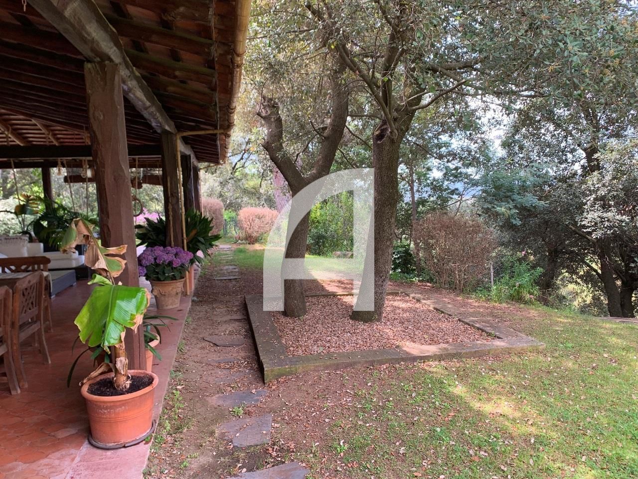 Jardín