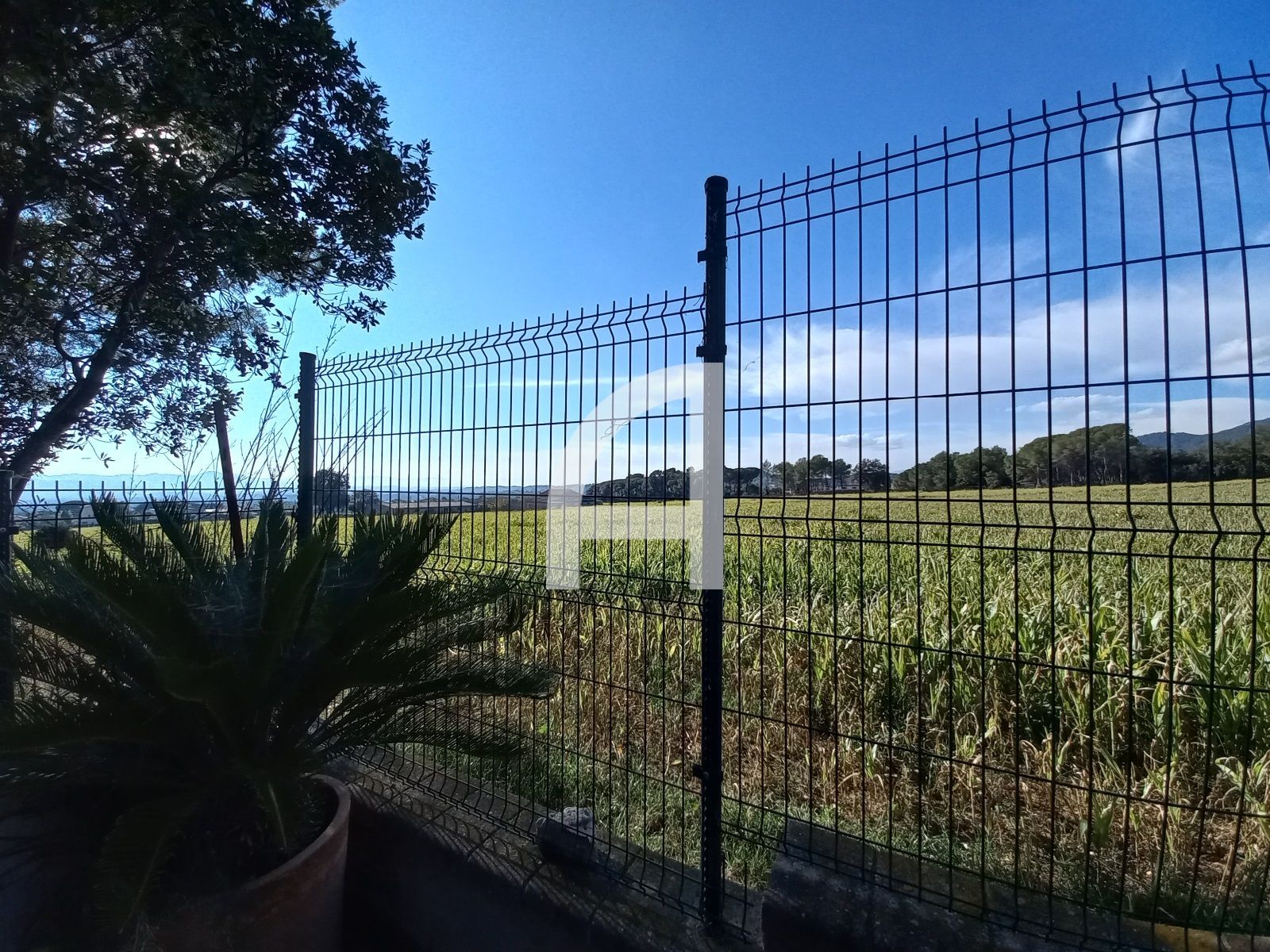 vistas