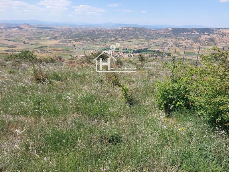 Parcela en venta Trijueque, Guadalajara. Ref: 1129. Hogar e Inversión