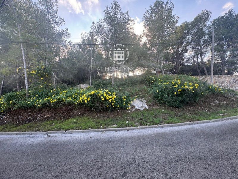 Parcela en venta La Bisbal del Penedes, Tarragona. Ref: 2407. At Home Fincas