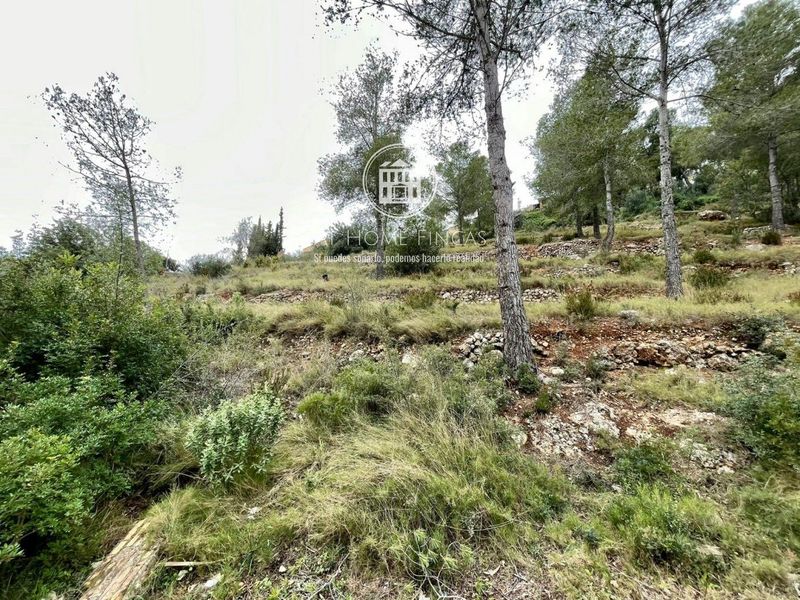 Parcela en venta La Bisbal del Penedes, Tarragona. Ref: 2465. At Home Fincas