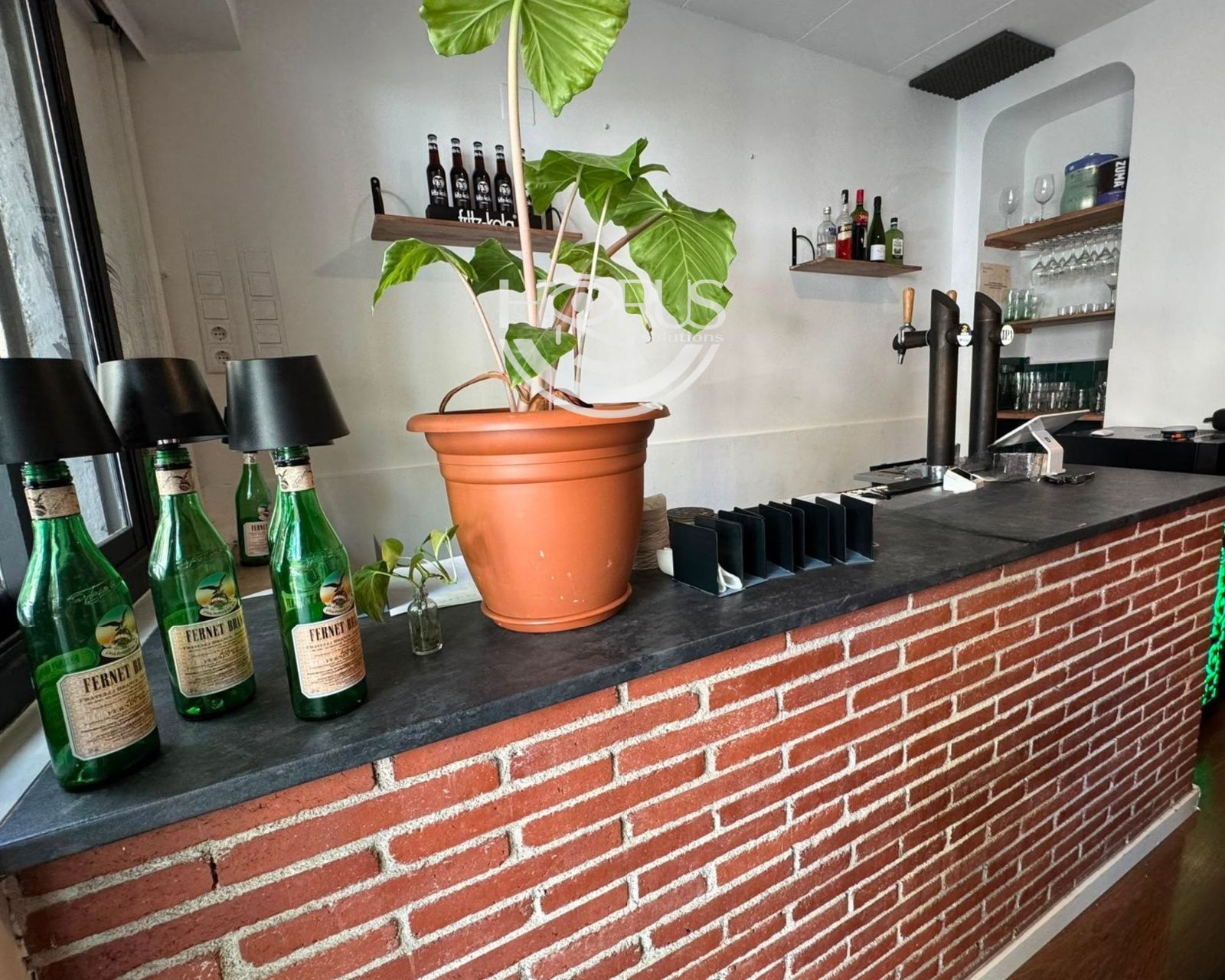 AQUÍ NO VIENES A PROBAR. VIENES A MONTAR NEGOCIO.
