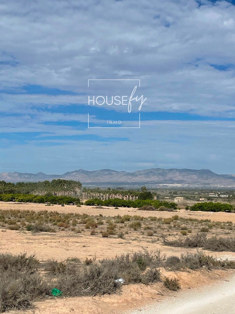 Parcela en venta Elche/Elx, Alicante. Ref: 1019. Inmo Housefy