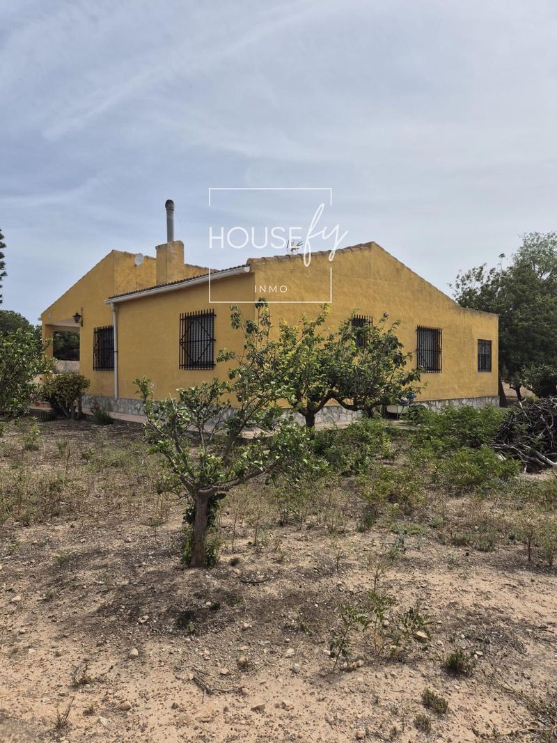 Chalet Independiente en venta Elche/Elx, Alicante. Ref: 1038. Inmo Housefy