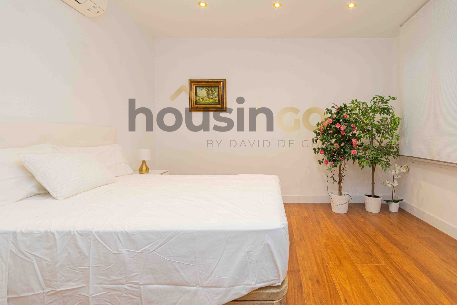 Vivienda - Piso en alquiler en Calle Serrano