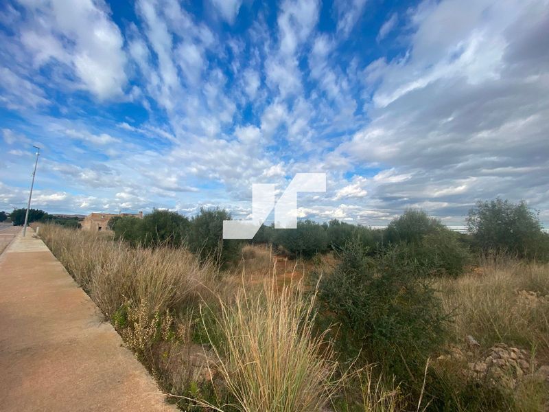 Plot for sale Onda, Castellón. Ref: 95254415. HusDrommer