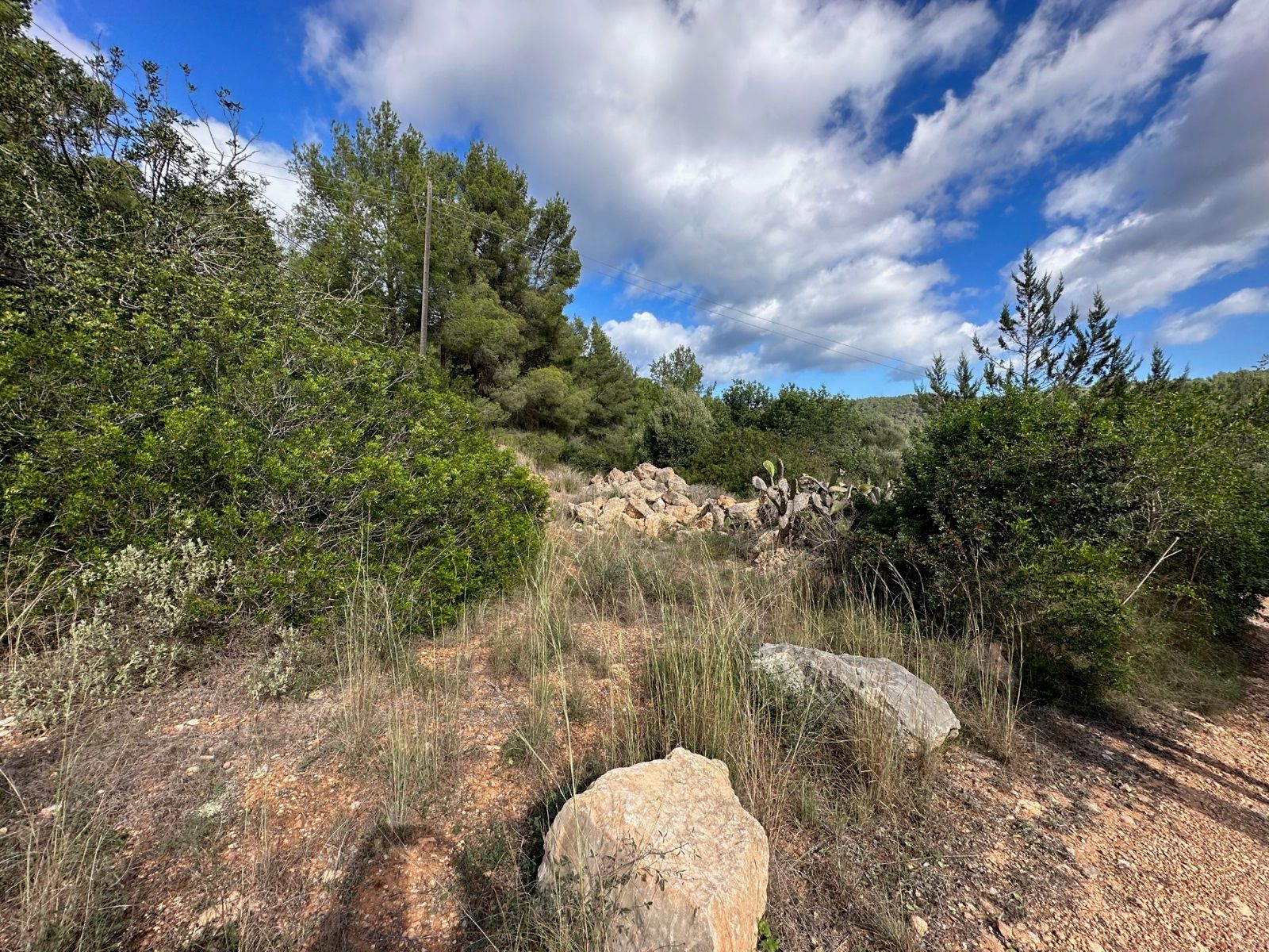 House in San Lorenzo de Balafia - view 1
