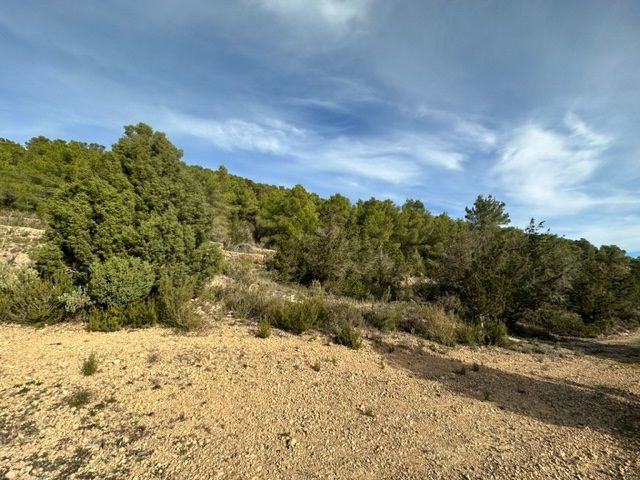 House in Sant Rafel - Image 5