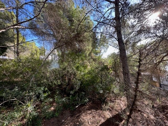 House in San Jordi De Ses Salines - Image 2