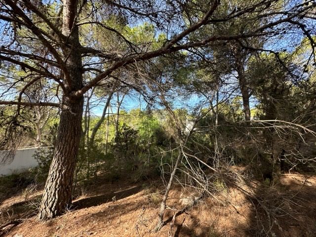 House in San Jordi De Ses Salines - Image 3