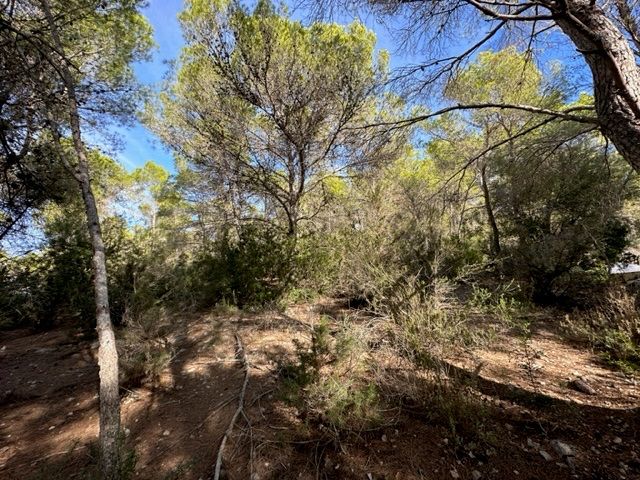 House in San Jordi De Ses Salines - Image 4