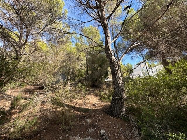 House in San Jordi De Ses Salines - Image 5