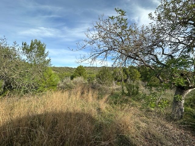 House in Sant Rafel - view 1