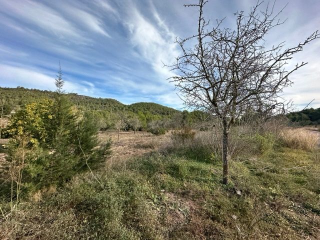 House in Sant Rafel - Image 4