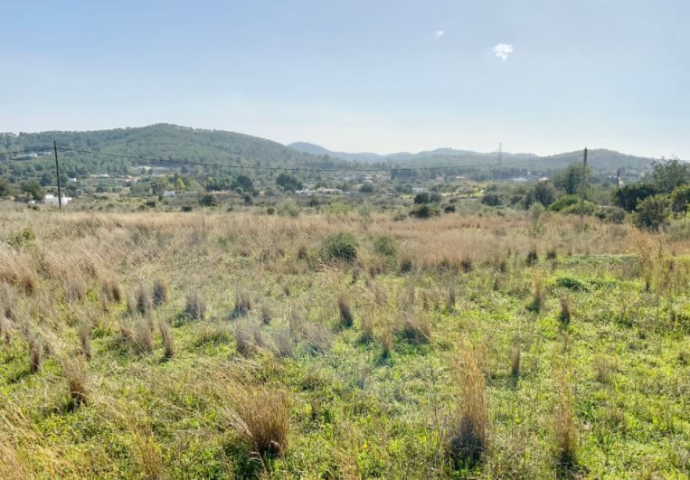 House in Santa Gertrudis de Fruitera - Image 2
