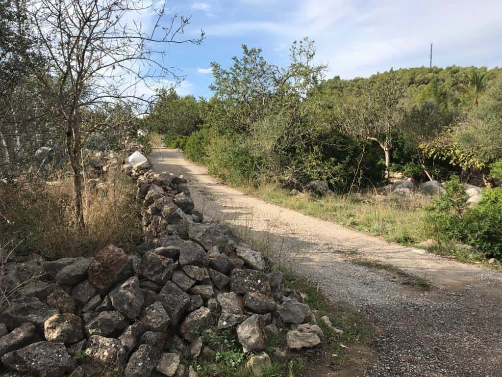 House in Santa Gertrudis de Fruitera - Image 4