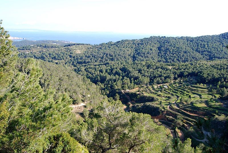 House in San Carlos - view 1