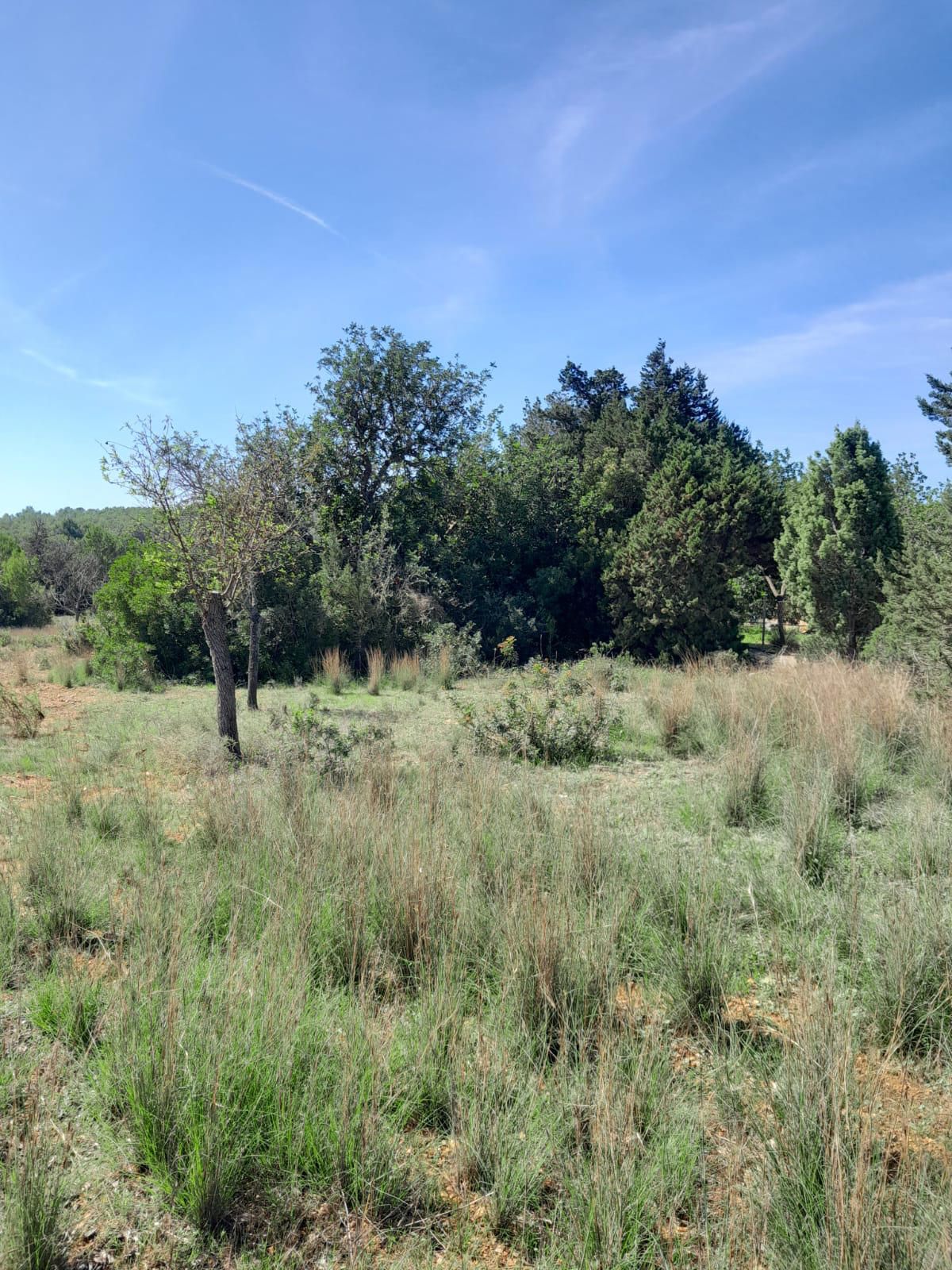 House in San Carlos - view 1