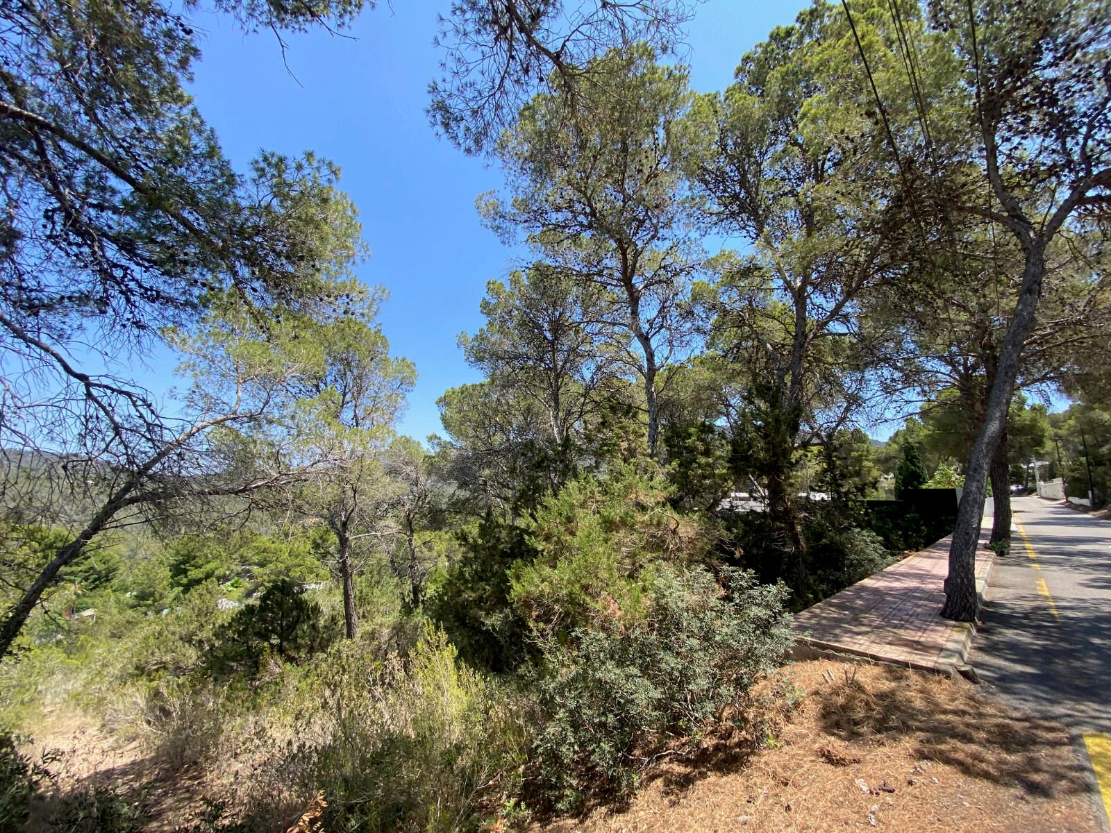 House in Sant Josep de sa Talaia - Image 4