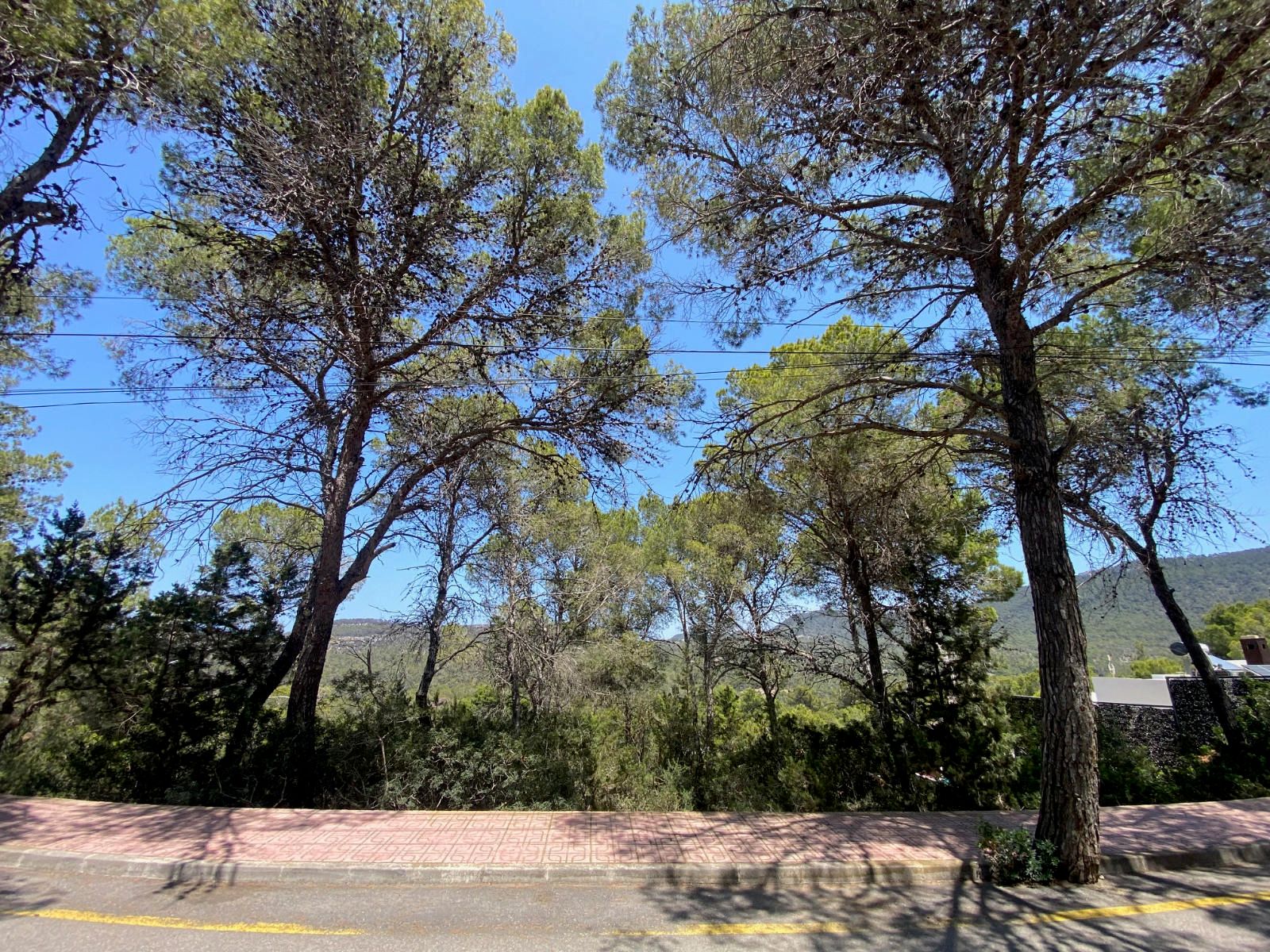 House in Sant Josep de sa Talaia - Image 5