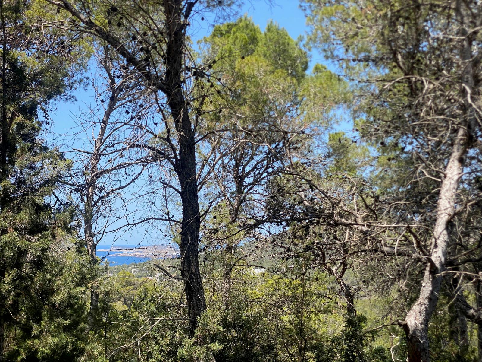 House in Sant Josep de sa Talaia - view 1