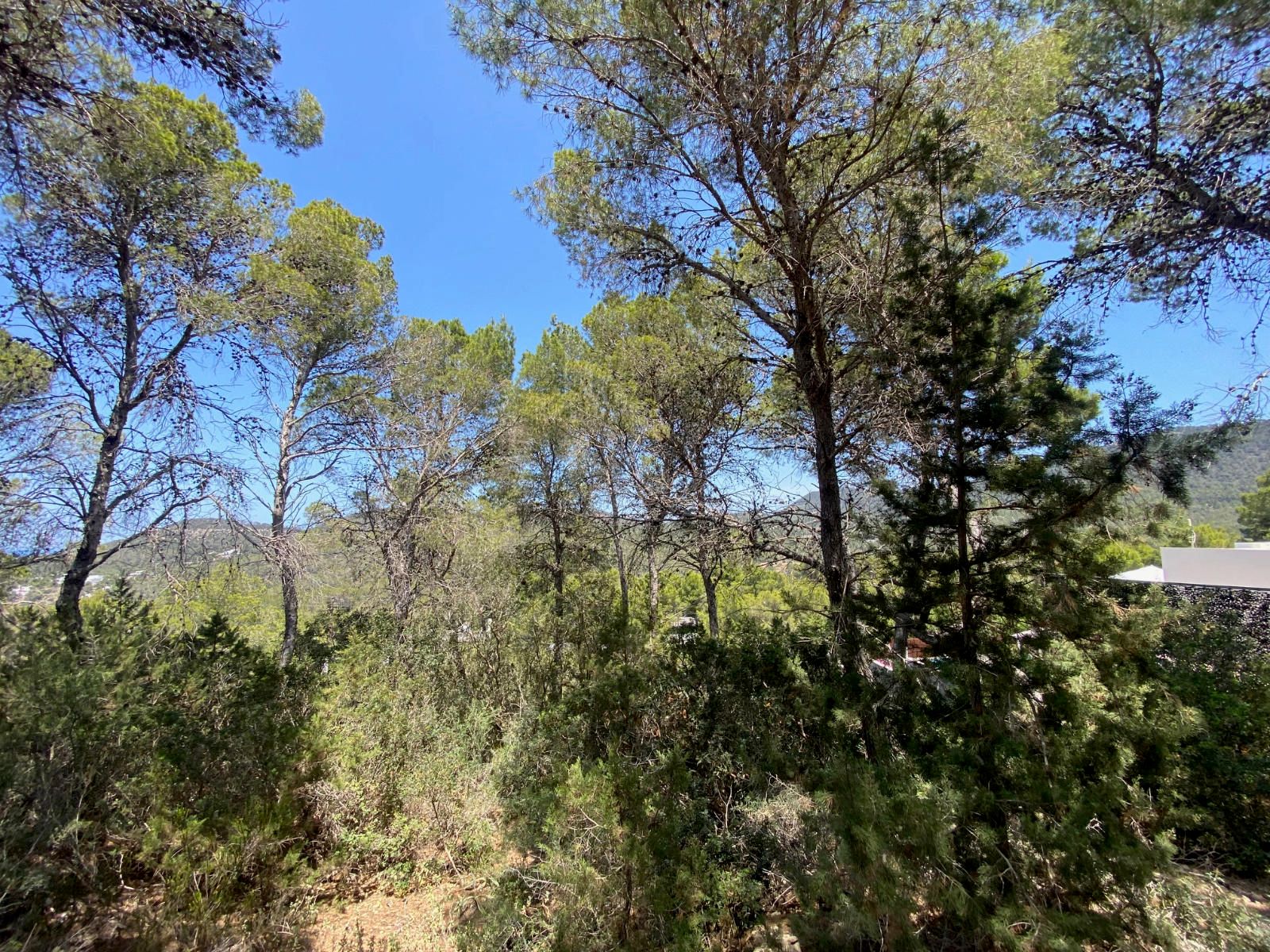 House in Sant Josep de sa Talaia - Image 3