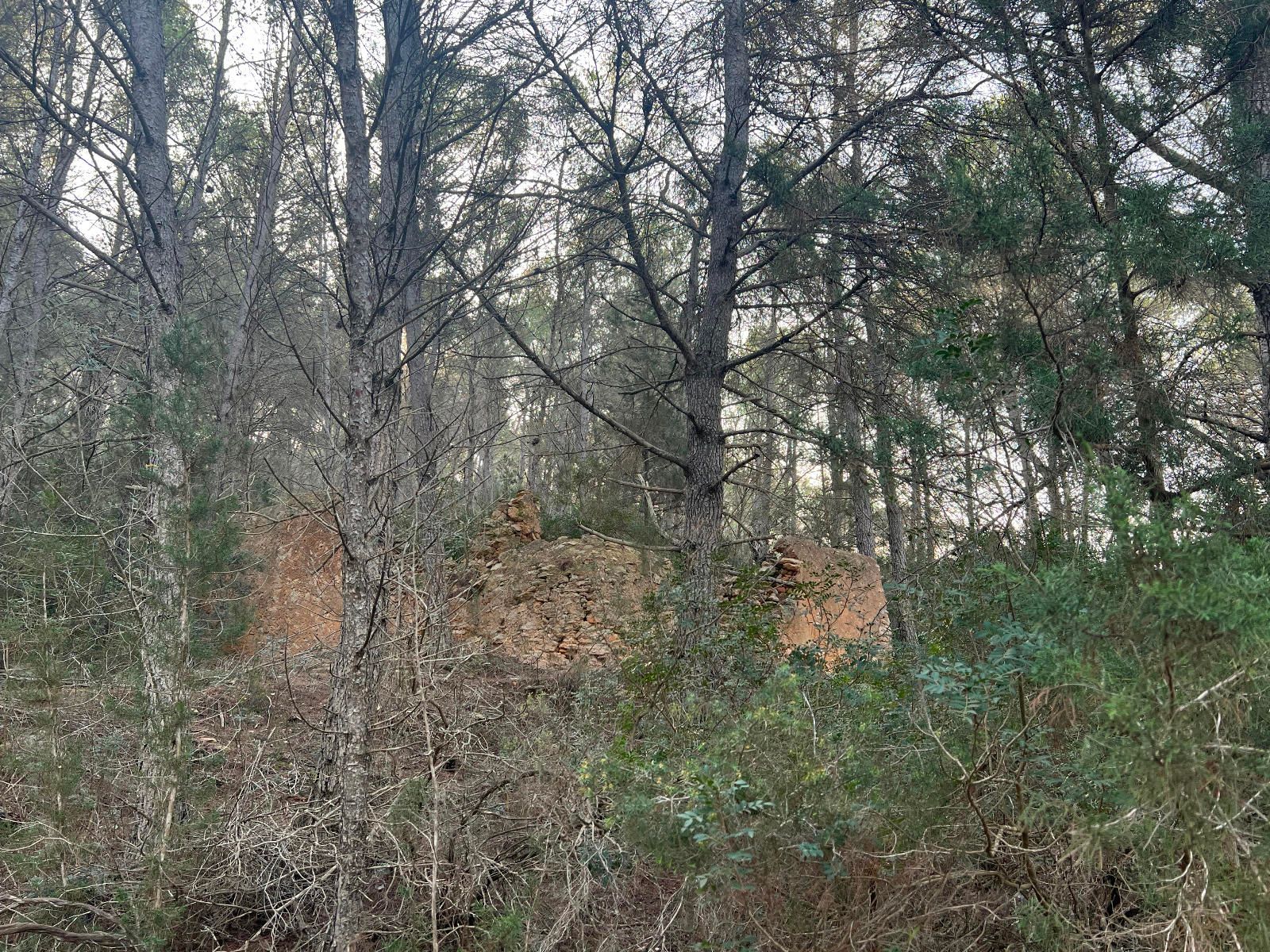 House in Santa Gertrudis de Fruitera - view 1