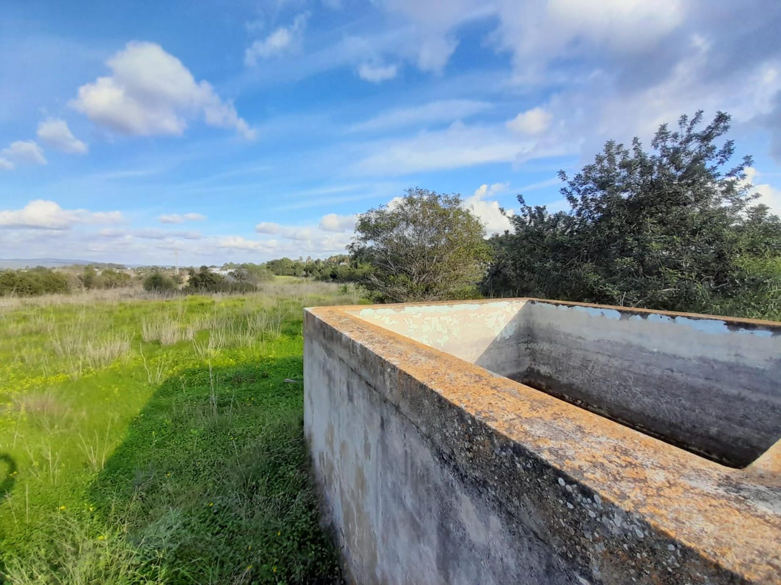 House in San Agustin des Vedra - Image 3