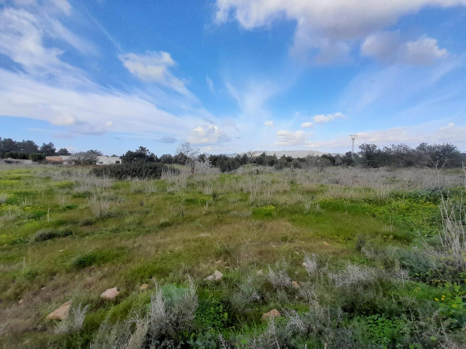 House in San Agustin des Vedra - Image 5