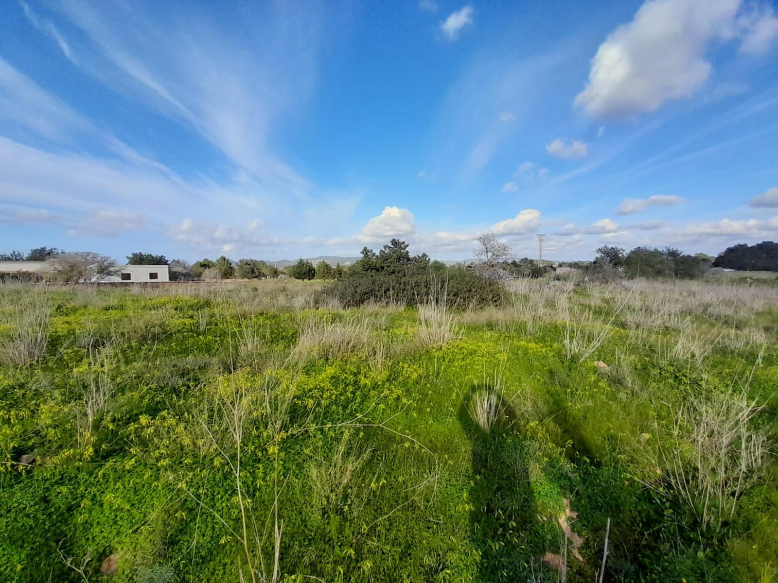 House in San Agustin des Vedra - Image 2