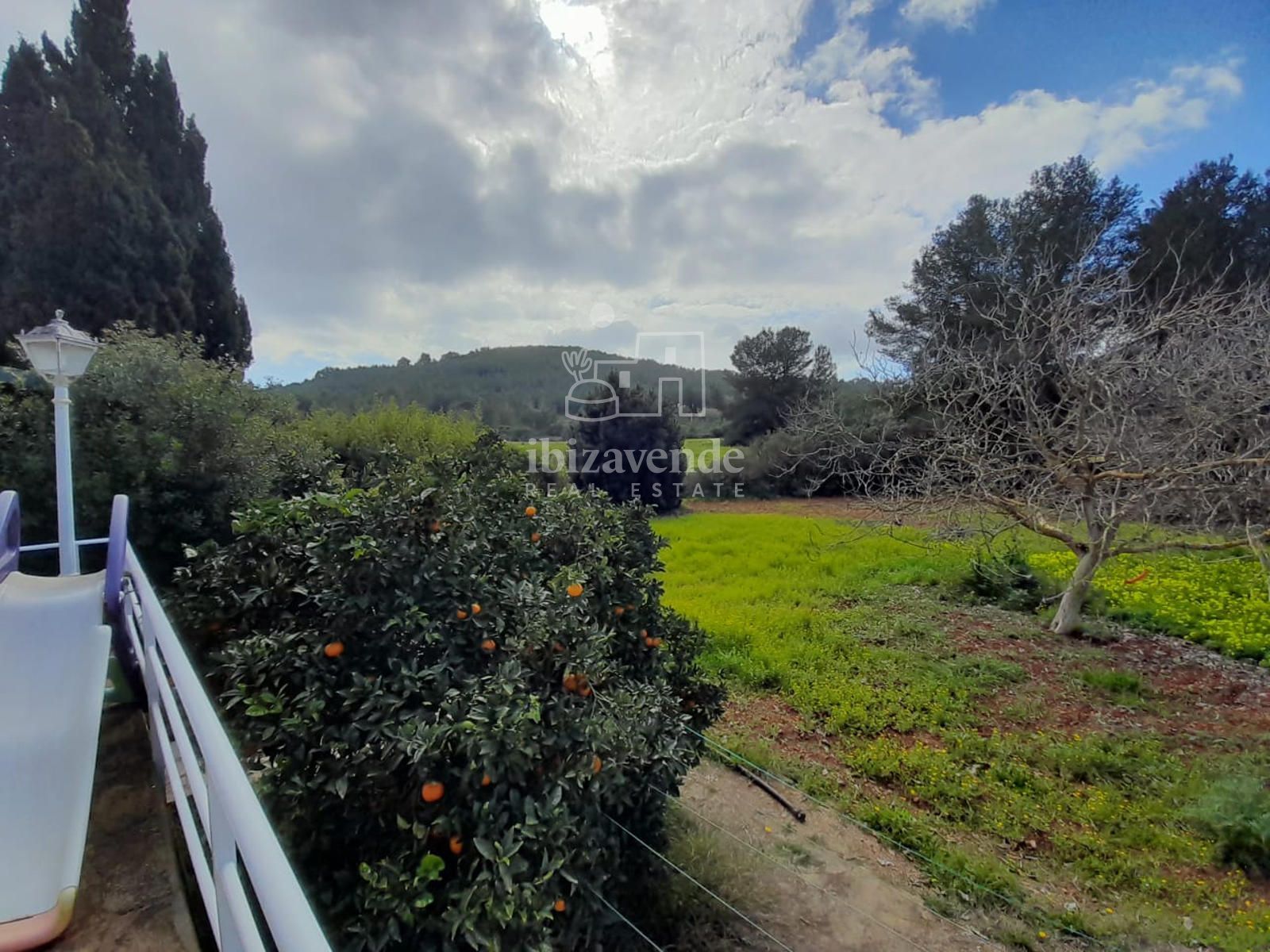 Exterior/Jardín