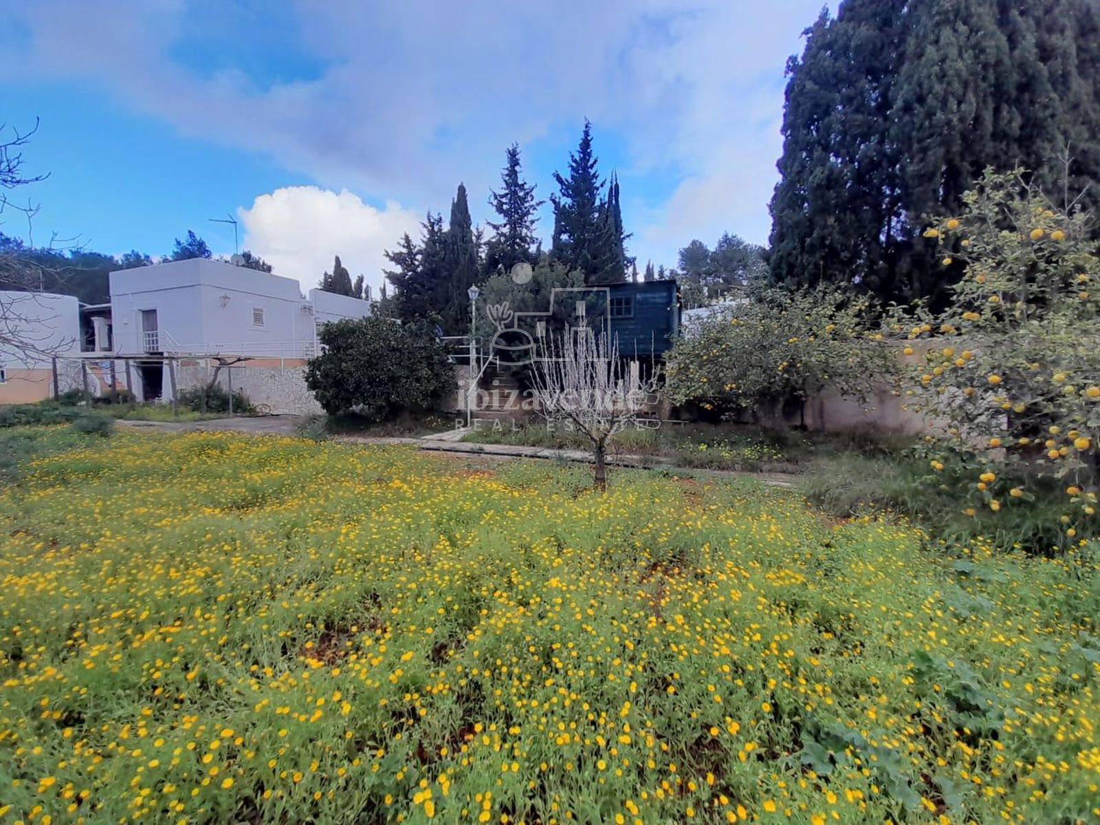 Exterior/Jardín
