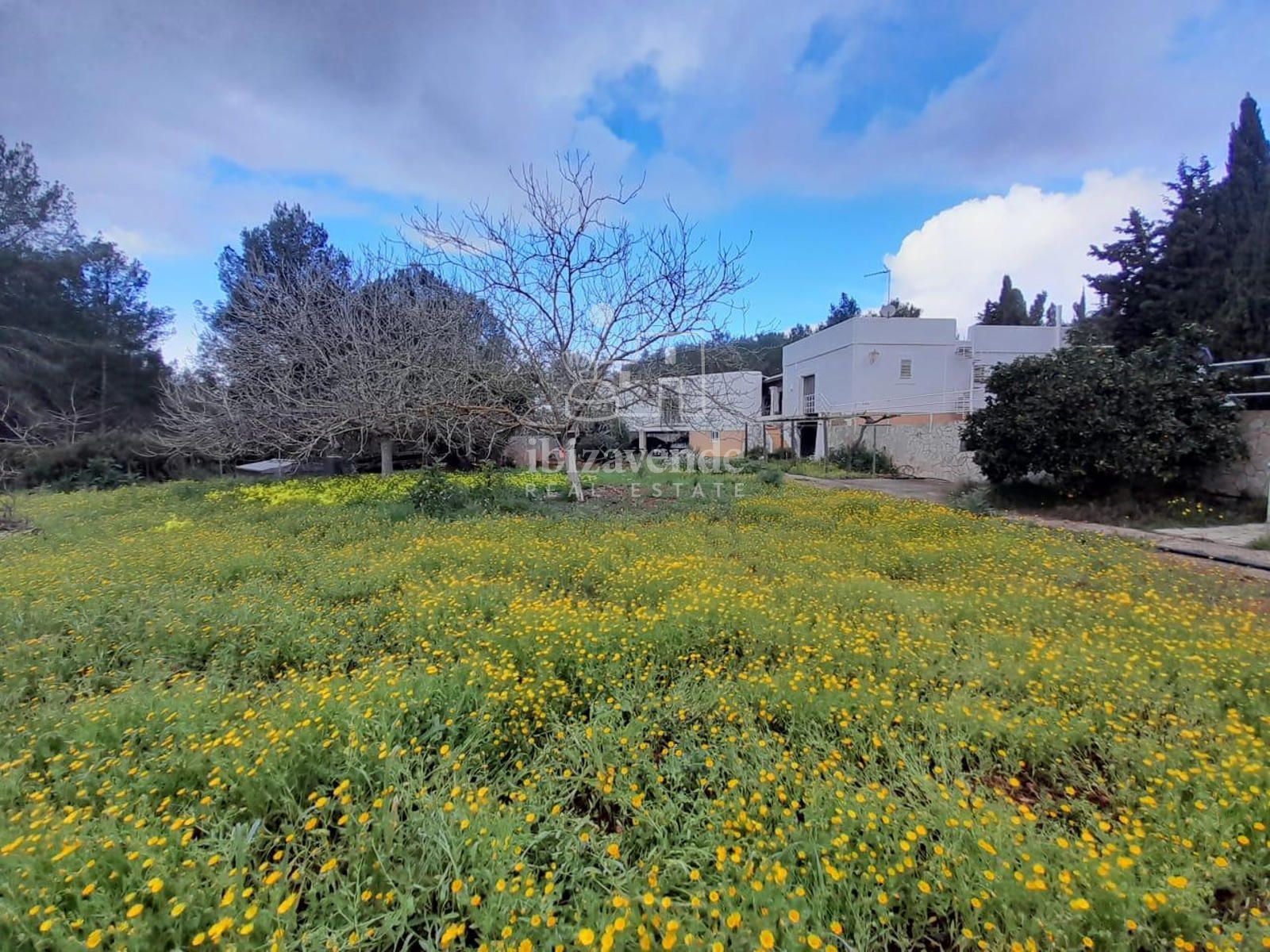 Exterior/Jardín