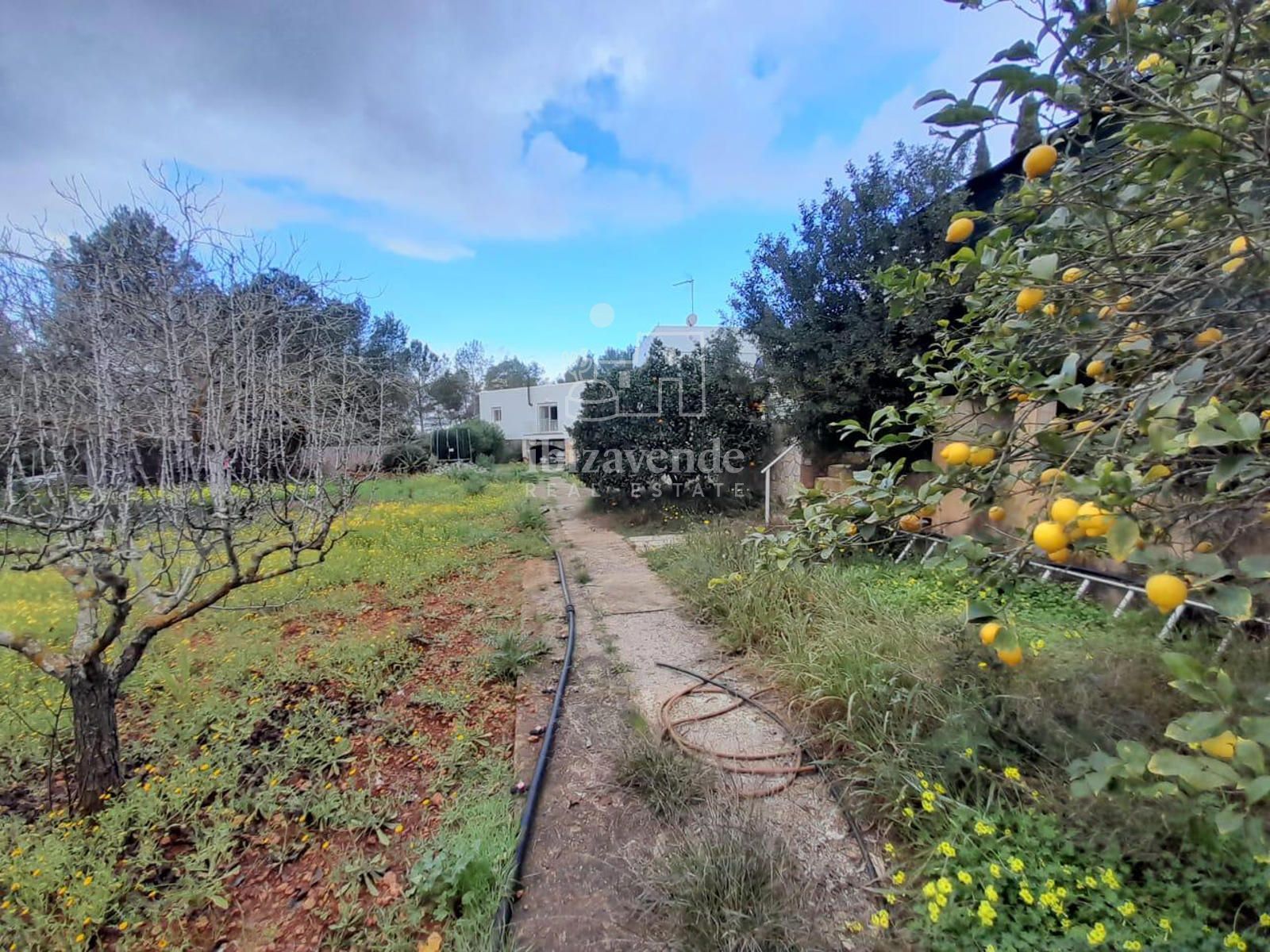 Exterior/Jardín