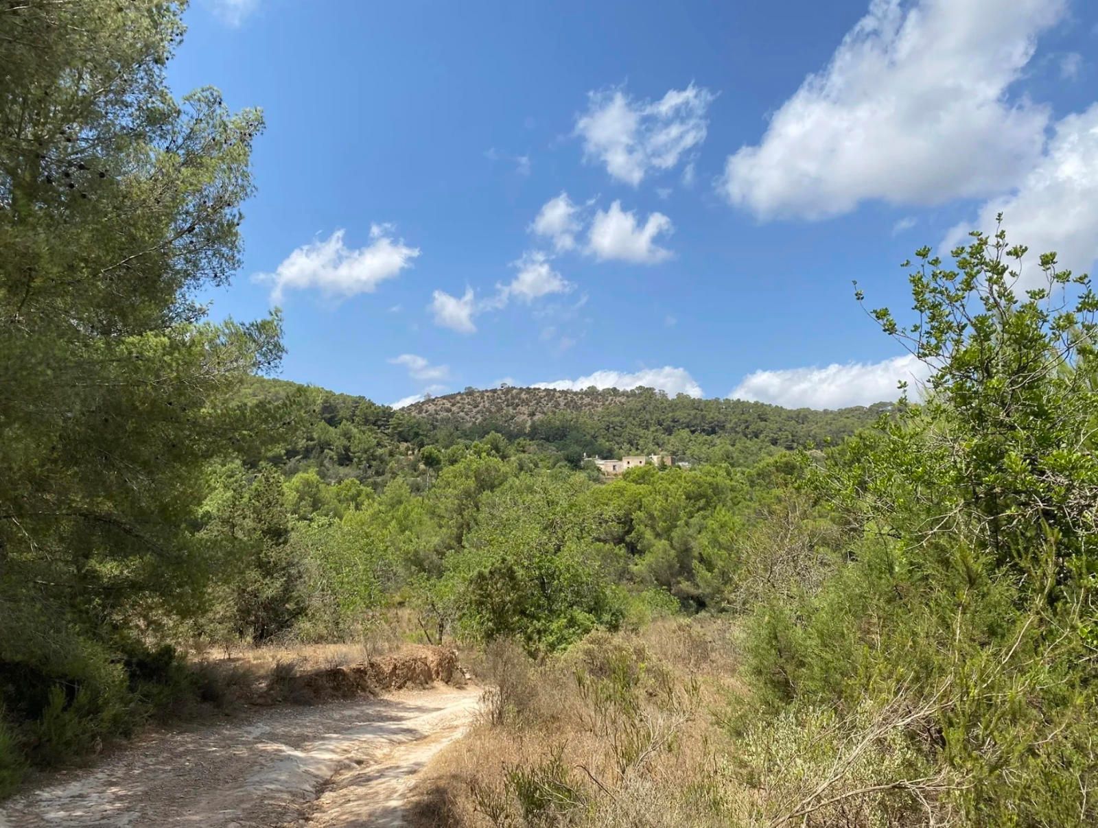 Villa in Santa Agnes de Corona - view 1