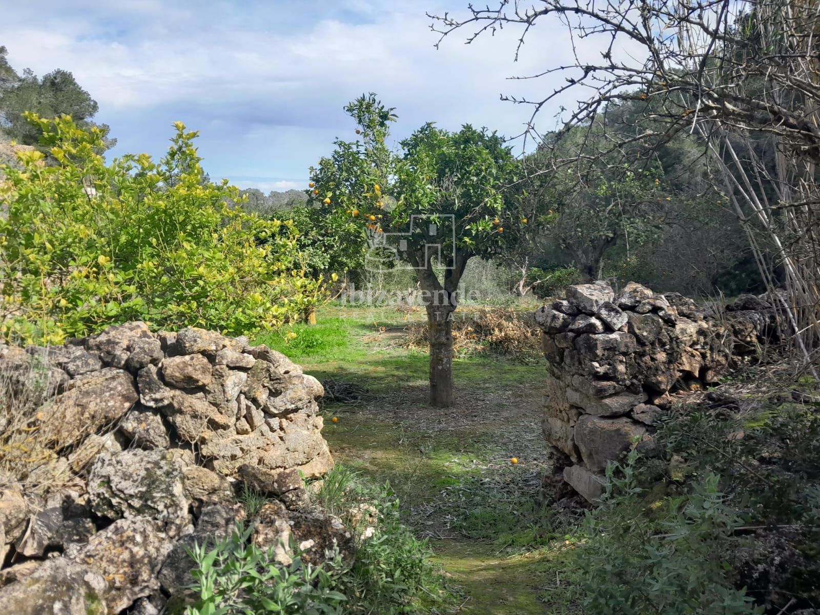 Exterior/Jardín