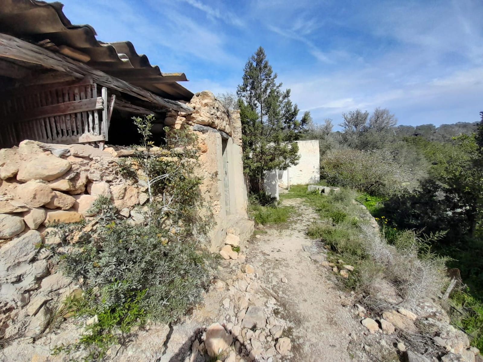 Villa in San Agustin des Vedra - Image 5