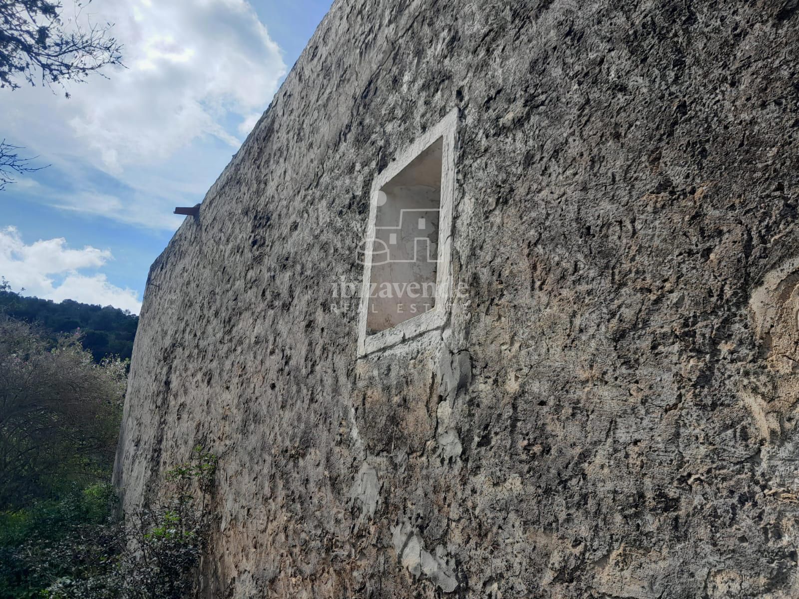 Exterior/Jardín