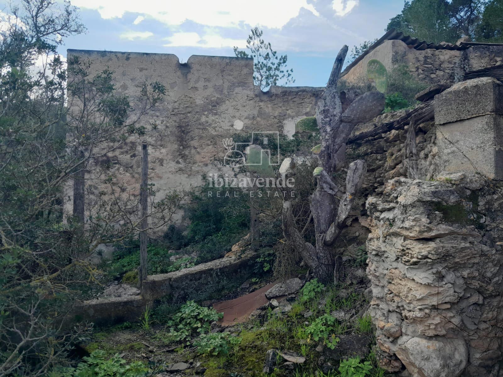 Exterior/Jardín