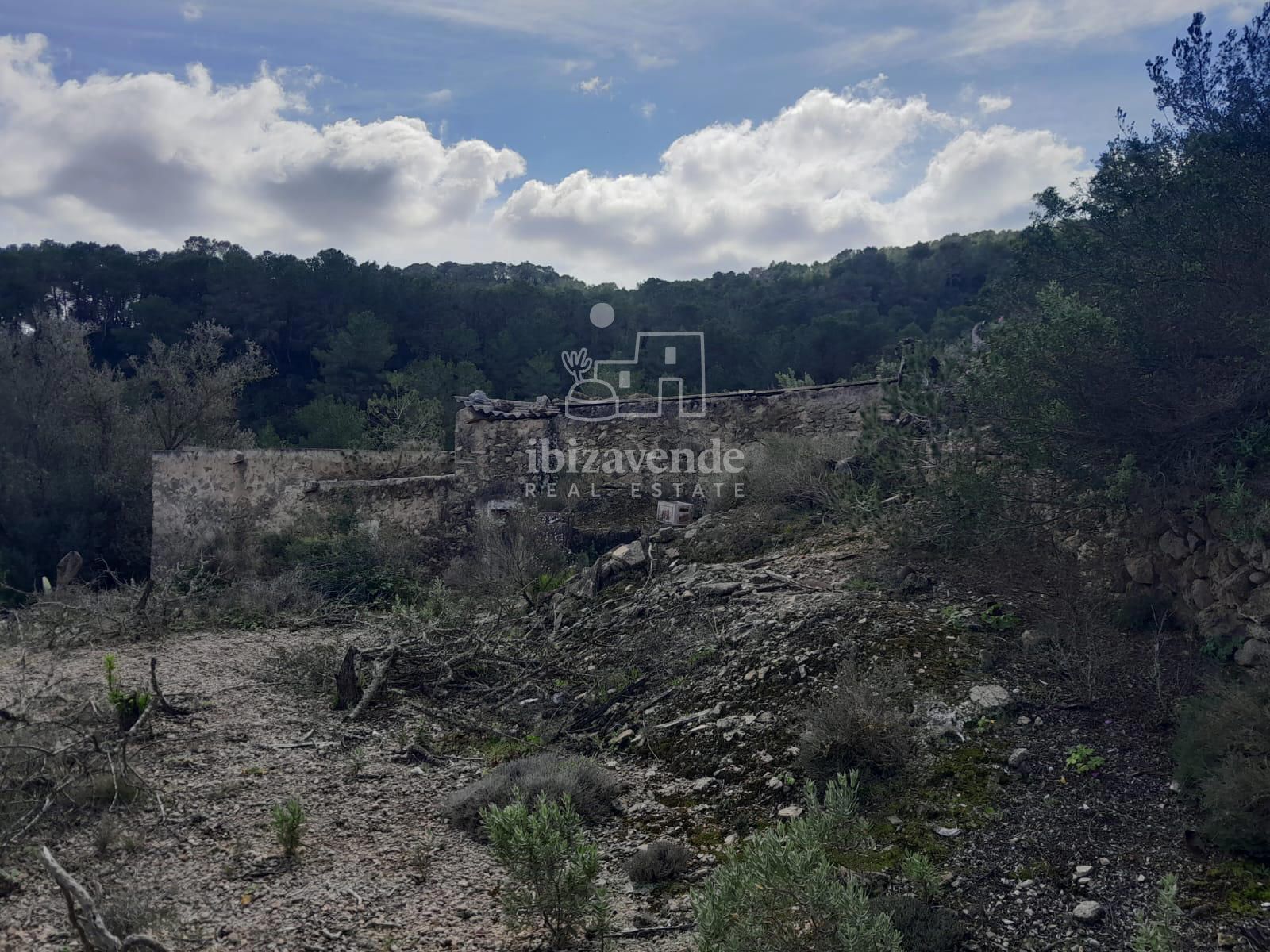 Exterior/Jardín