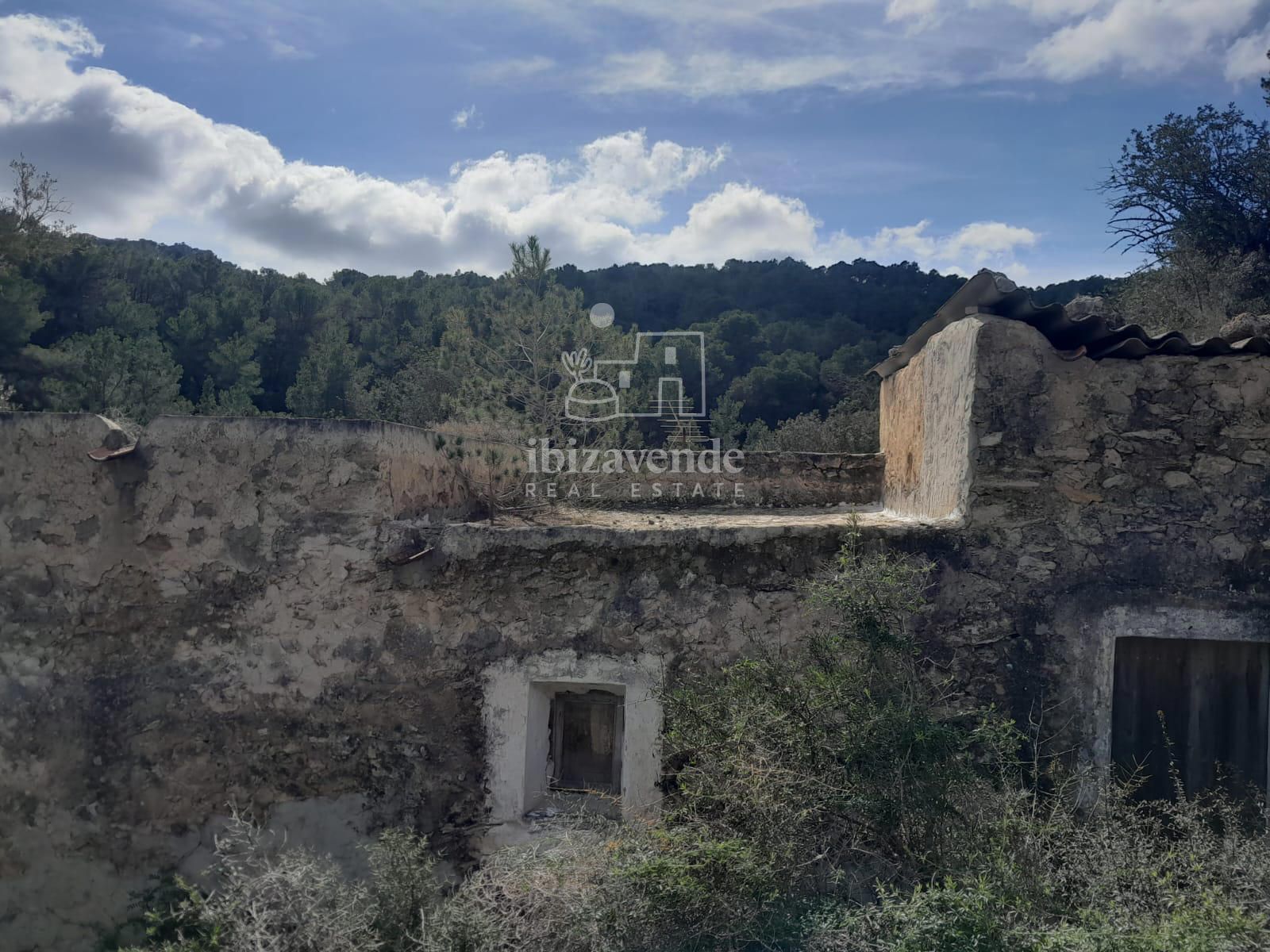 Exterior/Jardín